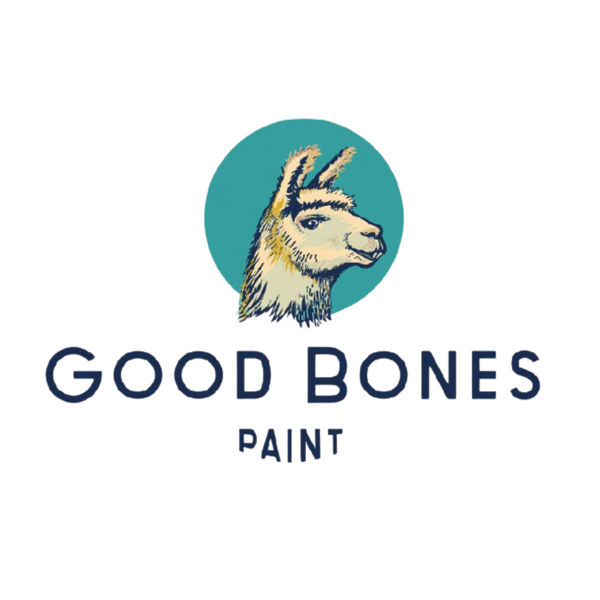 Good Bones Paint